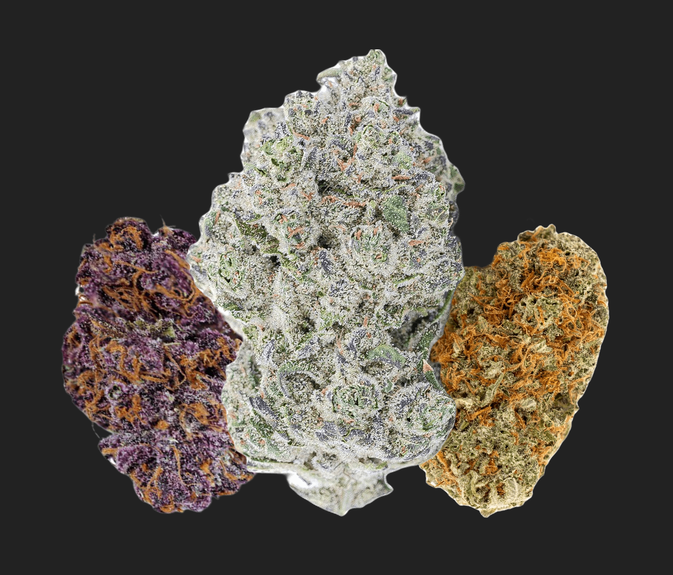 Strains